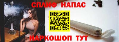 Альфа ПВП Будённовск