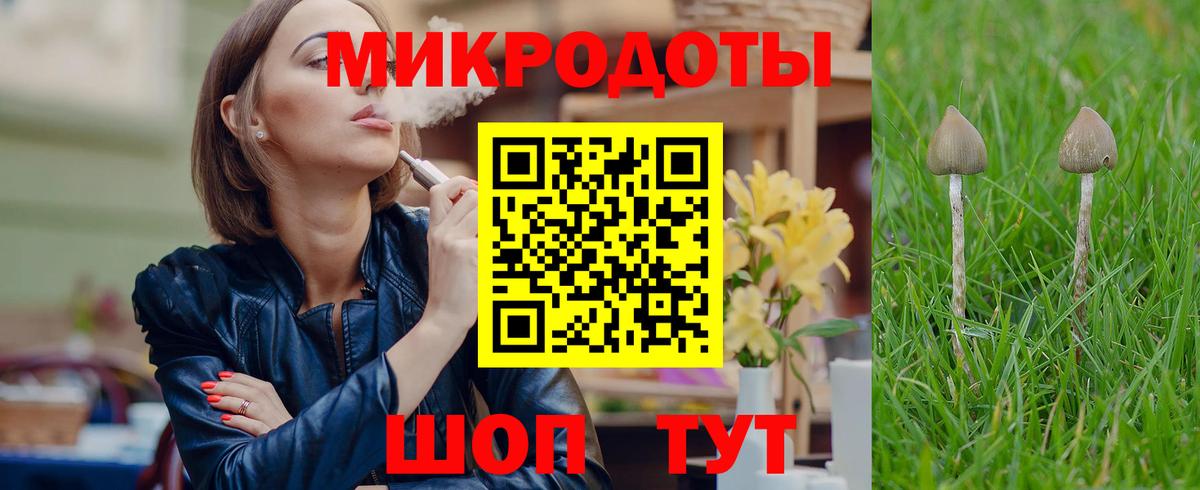 Псилоцибиновые грибы прущие грибы  Галлюциногенные грибы Psilocybe  даркнет сайт  Лесной  Вход с VPN 