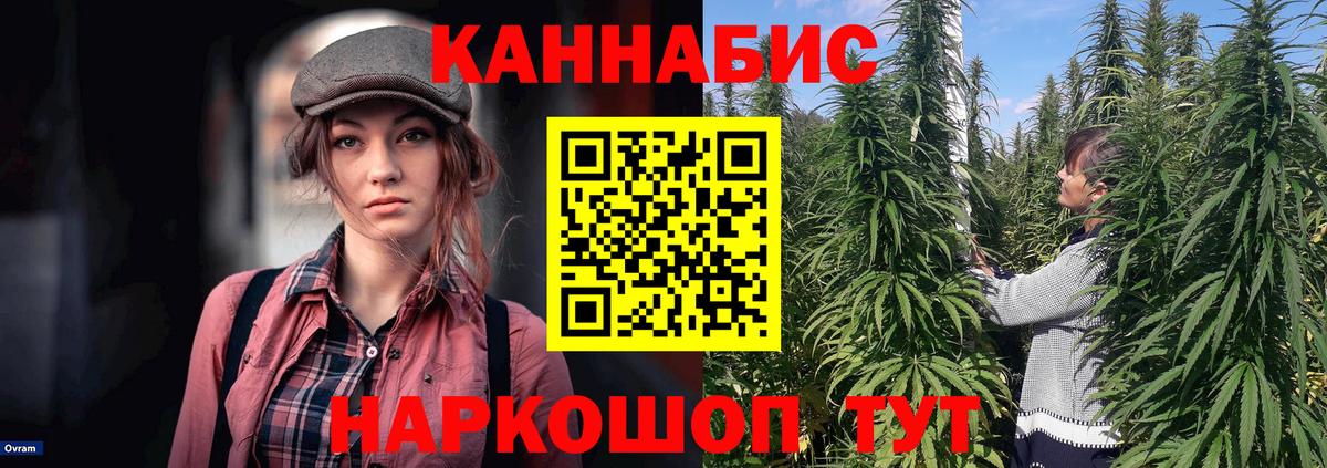 Конопля конопля Лесной